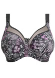 Goddess Kayla BH mit Unterbrustband Charcoal Kayla BH mit Unterbrustband Charcoal