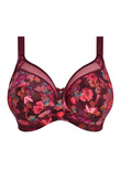 Kayla Banded Bra Plum Rose