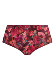 Kayla Brief Plum Rose